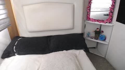 Palmer online show from January 2025 07:49:01 PM