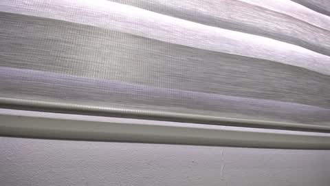 Palmer online show from January 2025 12:24:01 PM