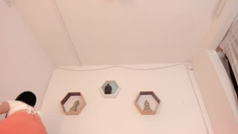 Paloma  online show from January 2025 08:32:01 PM