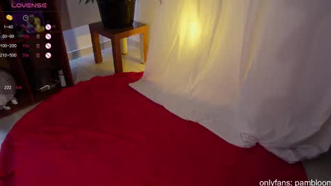     online show from March 2025 06:05:02 PM