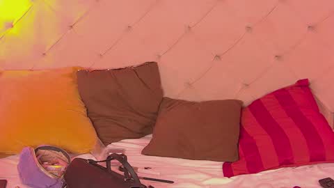 Snapshot of pamelamydreamys chatting on January 2025 01:02:01 PM Pamelamy online show from January 2025 01:02:01 PM