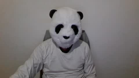 Panda online show from December 2024 07:01:02 PM
