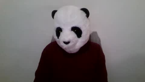 Panda online show from January 2025 12:52:01 PM