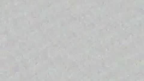 Snapshot of panther_cap chatting on June 2026 09:37:02 PM In bio online show from June 2026 09:37:02 PM