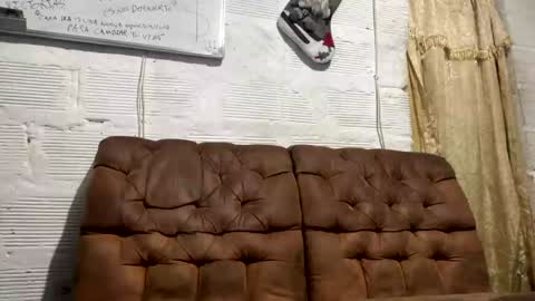 panthers_room online show from December 2024 10:56:02 AM