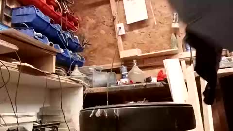 Snapshot of papajb70 chatting on January 2025 01:05:02 AM papajb70 online show from January 2025 01:05:02 AM