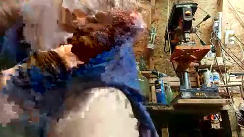 Snapshot of papajb70 chatting on September 2025 02:22:01 AM papajb70 online show from September 2025 02:22:01 AM