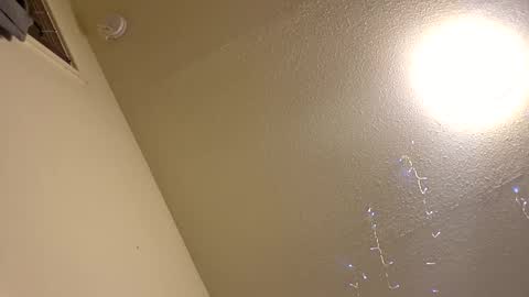 Papij online show from January 2026 02:00:01 PM