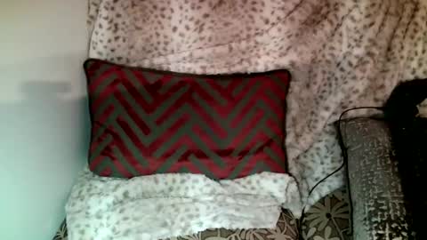 Snapshot of parlaytellio chatting on December 2024 06:41:01 PM Parlay Tellio online show from December 2024 06:41:01 PM