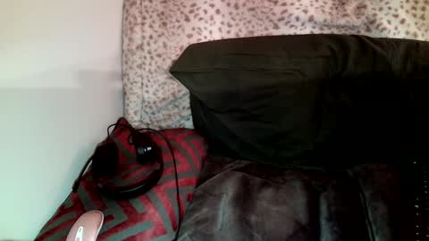 Snapshot of parlaytellio chatting on January 2025 03:48:01 AM Parlay Tellio online show from January 2025 03:48:01 AM