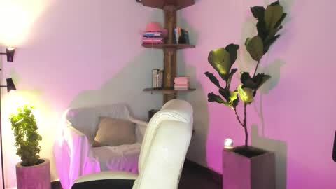    online show from January 2026 01:44:01 AM