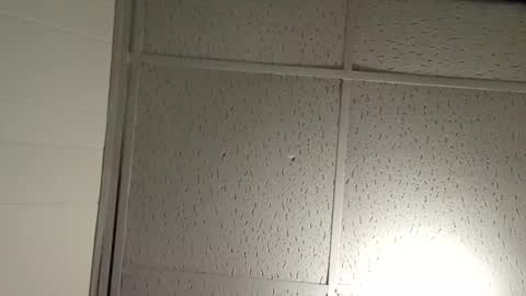 Snapshot of pato0008 chatting on November 2025 02:44:01 AM JD online show from November 2025 02:44:01 AM