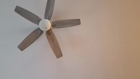 patrick247288 online show from January 2025 09:40:01 PM