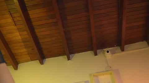 patty online show from September 2025 12:05:02 PM