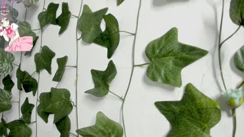 paulina online show from December 2024 02:56:02 AM