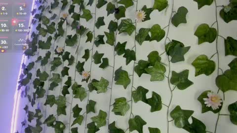 paulina online show from December 2024 12:54:01 AM