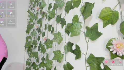 paulina online show from January 2025 12:24:01 AM