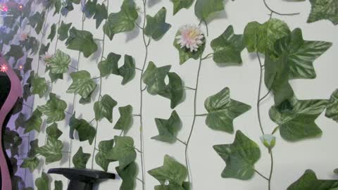 paulina online show from January 2025 12:49:01 AM