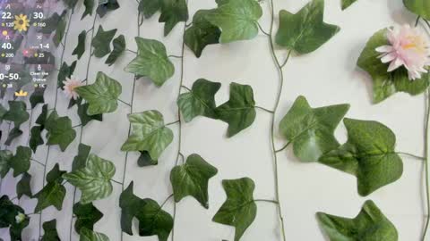 paulina online show from January 2025 12:14:02 AM