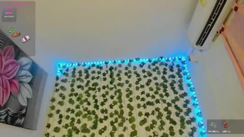 paulina online show from September 2025 01:53:01 AM