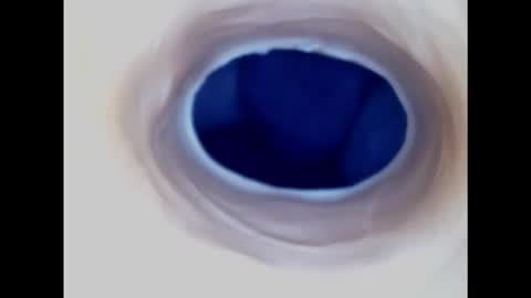 Paula 18 Aninhos online show from January 2025 10:08:01 AM