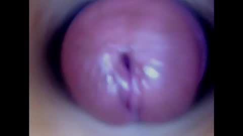 Paula 18 Aninhos online show from February 2025 03:54:01 AM