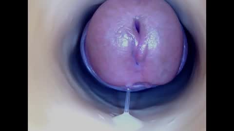 Paula 18 Aninhos online show from January 2026 12:02:01 AM