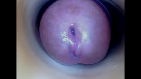 Paula 18 Aninhos online show from April 2026 02:25:02 PM