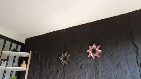 Paulo online show from January 2026 09:18:02 PM