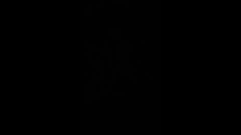 paulobascet online show from December 2024 01:36:01 AM