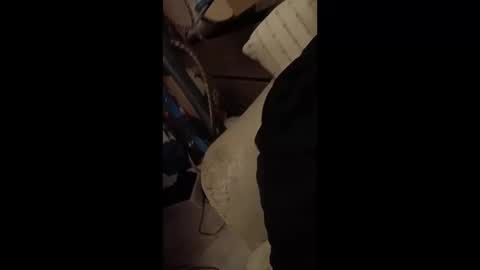 paulobascet online show from January 2025 03:28:02 AM