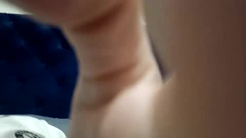 Paw online show from December 2024 06:52:01 AM