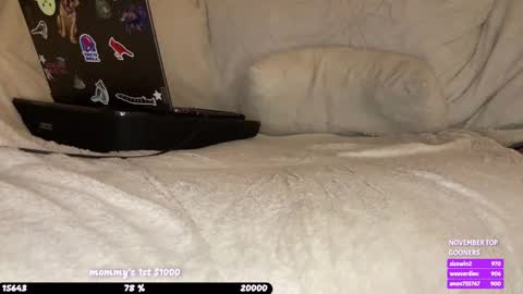 pixie online show from November 2025 03:50:01 AM