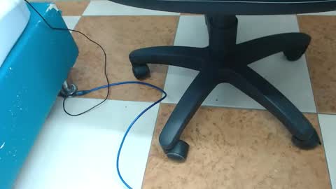 Payton online show from December 2024 09:29:02 AM