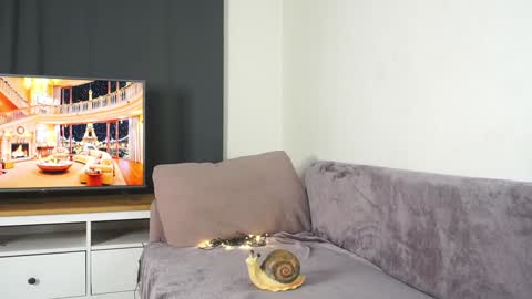 Violetta online show from December 2024 03:03:01 PM