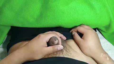 Penils online show from April 2026 12:30:01 PM