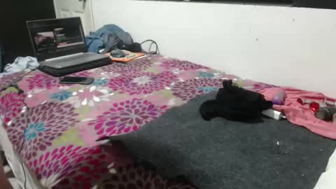 pepe39 online show from March 2026 06:50:02 AM