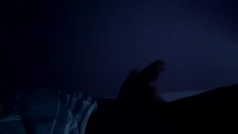 Snapshot of perfect427482577143 chatting on February 2026 08:24:07 AM perfect427482577143 online show from February 2026 08:24:07 AM