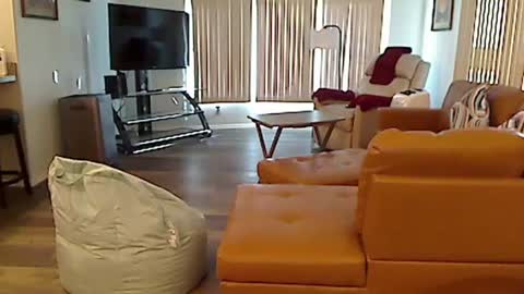 perfecto1957 online show from December 2024 07:55:01 PM