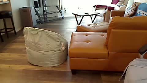 perfecto1957 online show from March 2025 02:21:02 PM