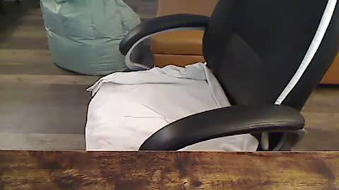 perfecto1957 online show from September 2025 02:22:02 PM