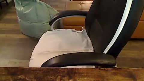 perfecto1957 online show from November 2025 03:46:01 PM