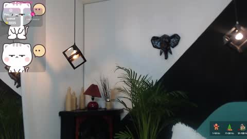   online show from December 2024 12:19:01 AM