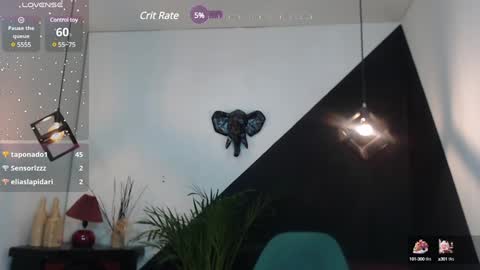   online show from January 2025 06:02:01 PM