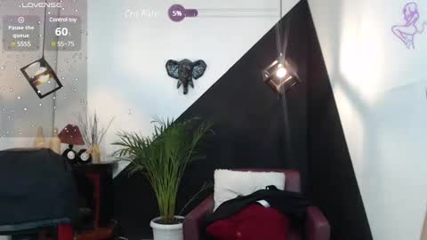   online show from January 2025 10:10:01 PM