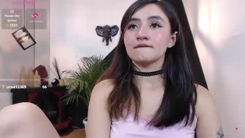   online show from February 2025 10:43:02 PM