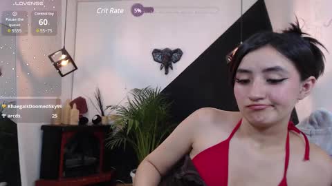   online show from February 2025 11:17:01 PM