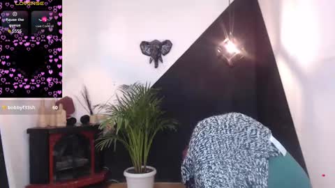   online show from February 2025 11:58:02 PM