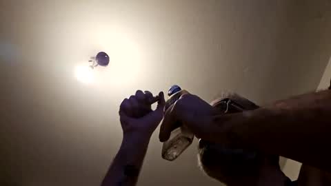 Snapshot of pervpig1 chatting on November 2025 10:45:01 PM pervpig1 online show from November 2025 10:45:01 PM