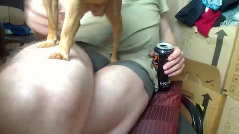 peta000007 online show from October 2025 12:50:01 PM